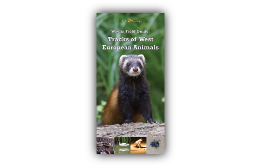 Weylin Field Guide: Tracks of Western European Animals