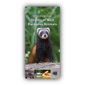 Weylin Field Guide: Tracks of Western European Animals