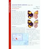 Field Guide to Butterflies of Seychelles - Their Natural History and Conservation