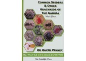 Common Spiders & Other Arachnids of The Gambia, West Africa