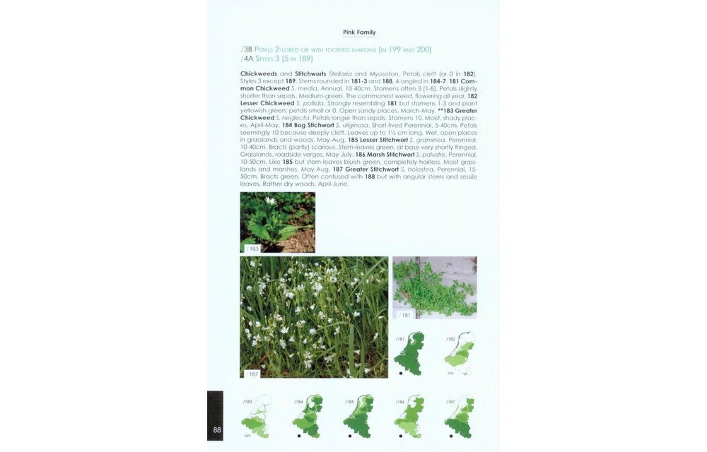 Field Guide to the wild plants of the Benelux