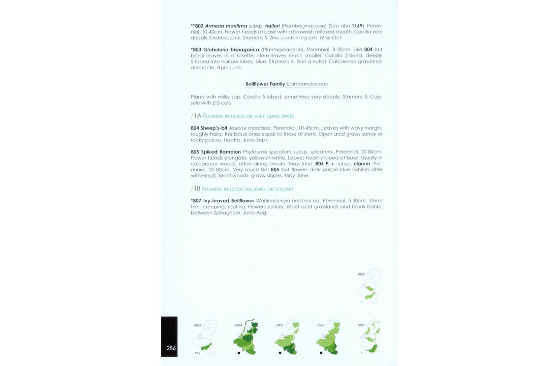 Field Guide to the wild plants of the Benelux