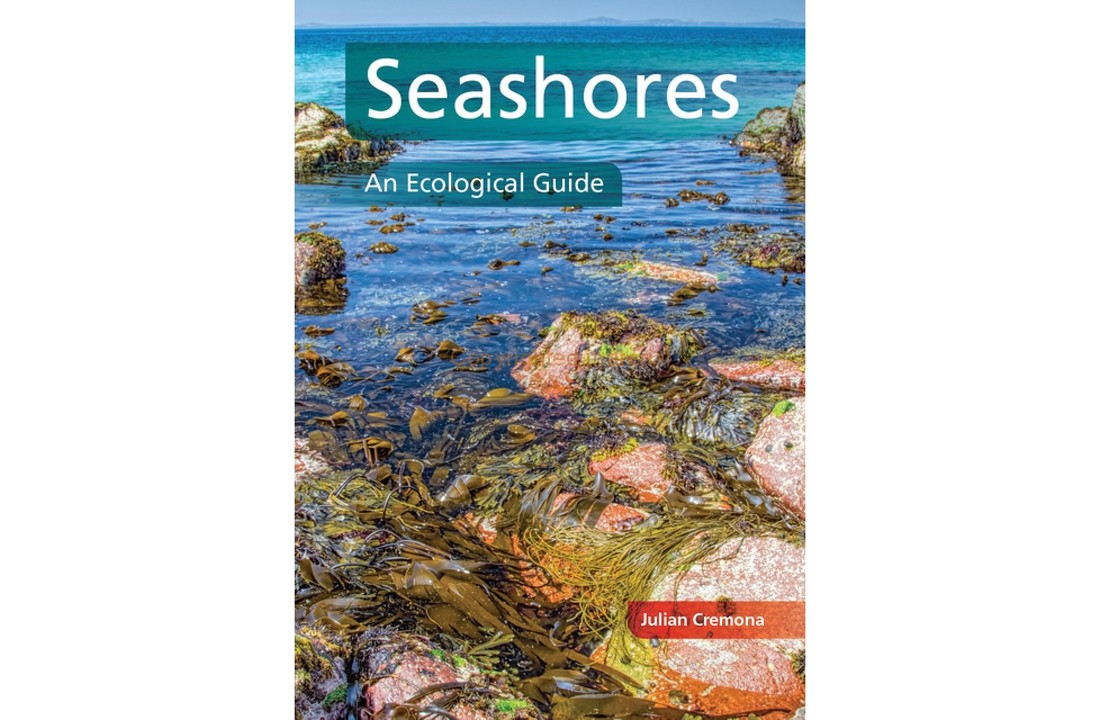Seashores - An Ecological Guide
