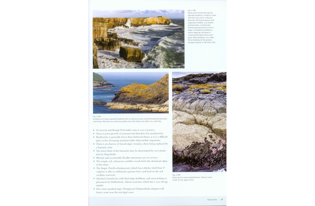 Seashores - An Ecological Guide