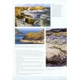 Seashores - An Ecological Guide