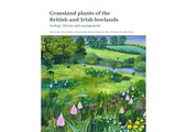 Grassland Plants of the British and Irish Lowlands