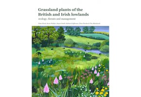 Grassland Plants of the British and Irish Lowlands