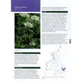 Grassland Plants of the British and Irish Lowlands - Ecology, Threats and Management