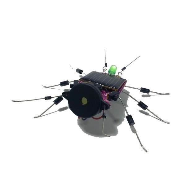Insect op Zonne-energie