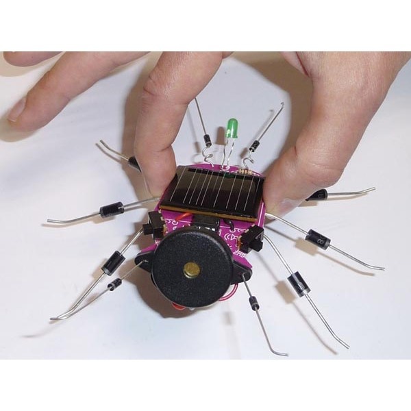 Insect op Zonne-energie