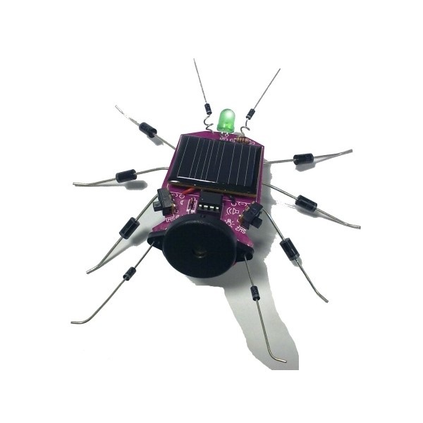 Insect op Zonne-energie