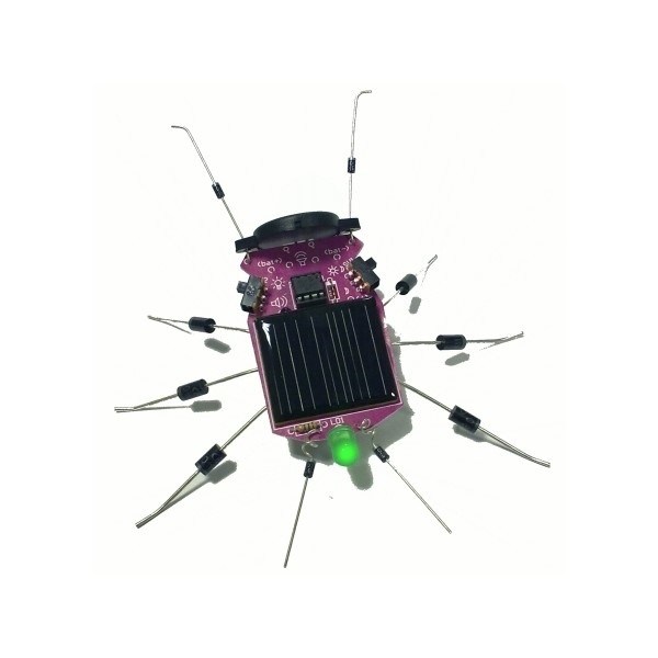Insect op Zonne-energie