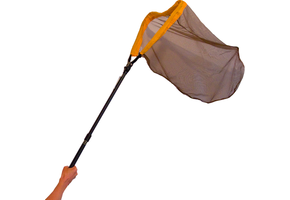 NHBS Telescopisch Opvouwbaar Vlindernet