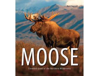 Moose: Crowned Giant of the Northern Wilderness