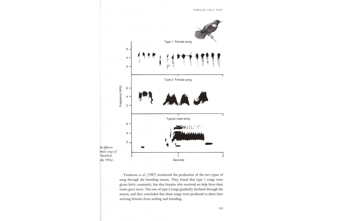 Bird Song - Biological Themes and Variations