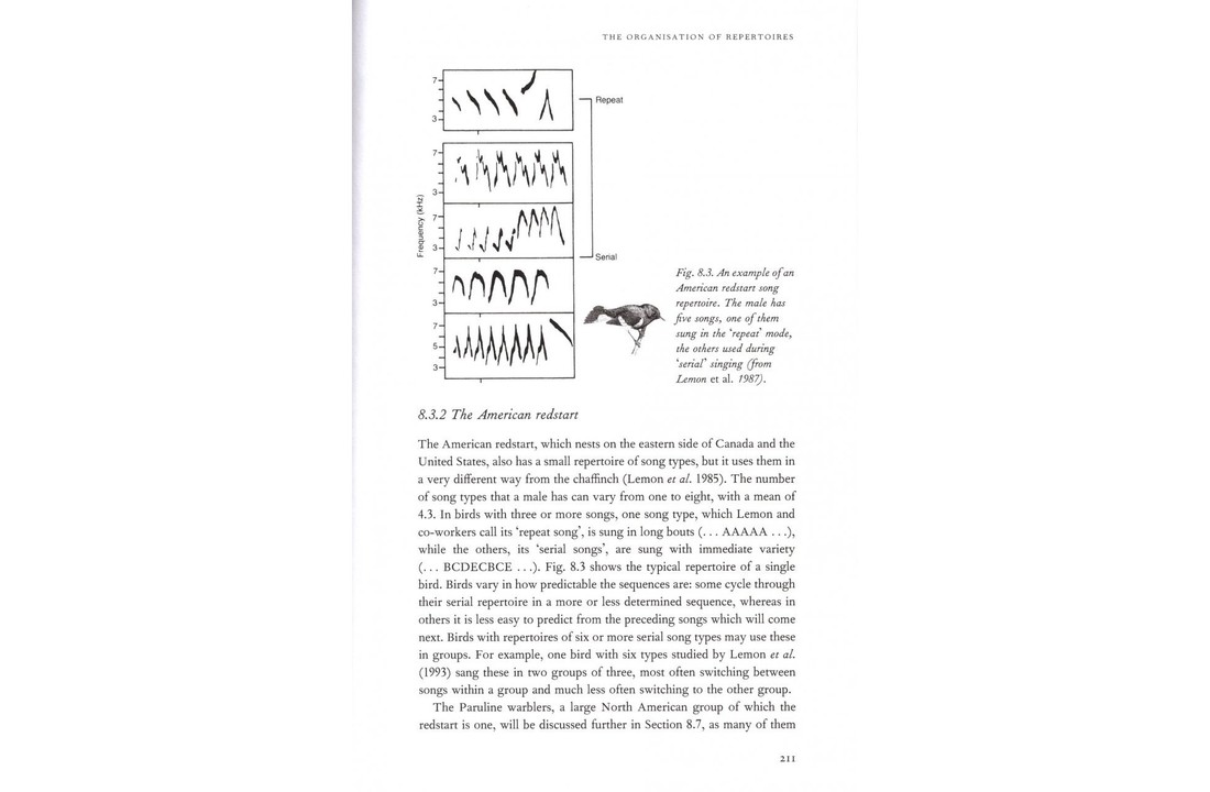 Bird Song - Biological Themes and Variations