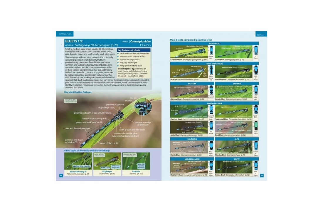Europe's Dragonflies - A Field Guide to the Damselflies and Dragonflies