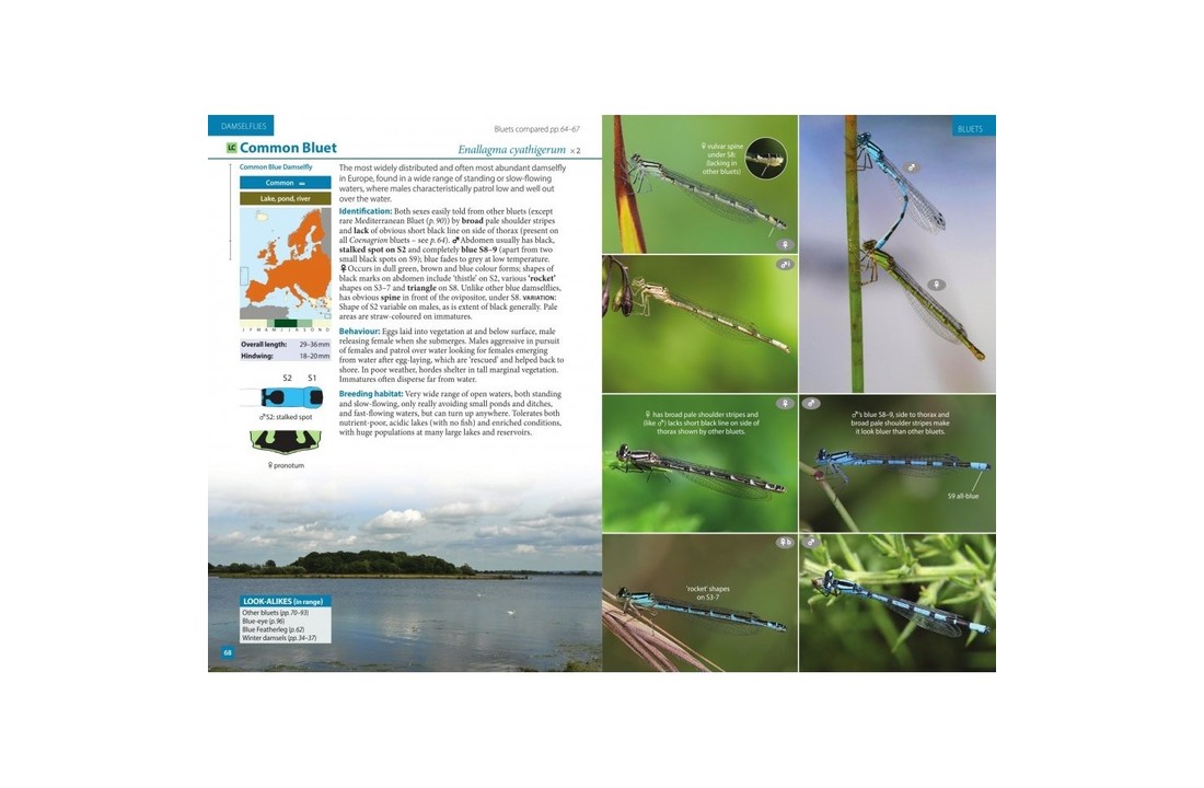 Europe's Dragonflies - A Field Guide to the Damselflies and Dragonflies