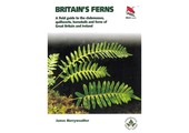 Ferns - Clubmosses, Quillworts and Horsetails of Britain and Ireland