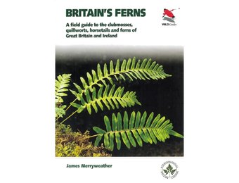 Ferns - Clubmosses, Quillworts and Horsetails of Britain and Ireland