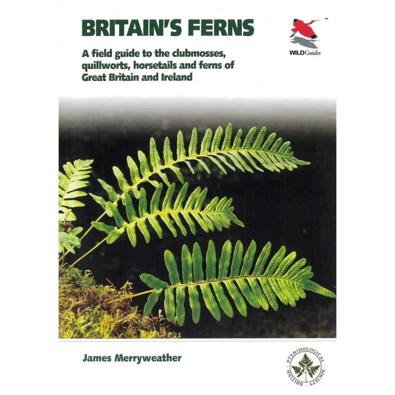 Britain's Ferns - A Field Guide to the Clubmosses, Quillworts, Horsetails and Ferns of Great Britain and Ireland