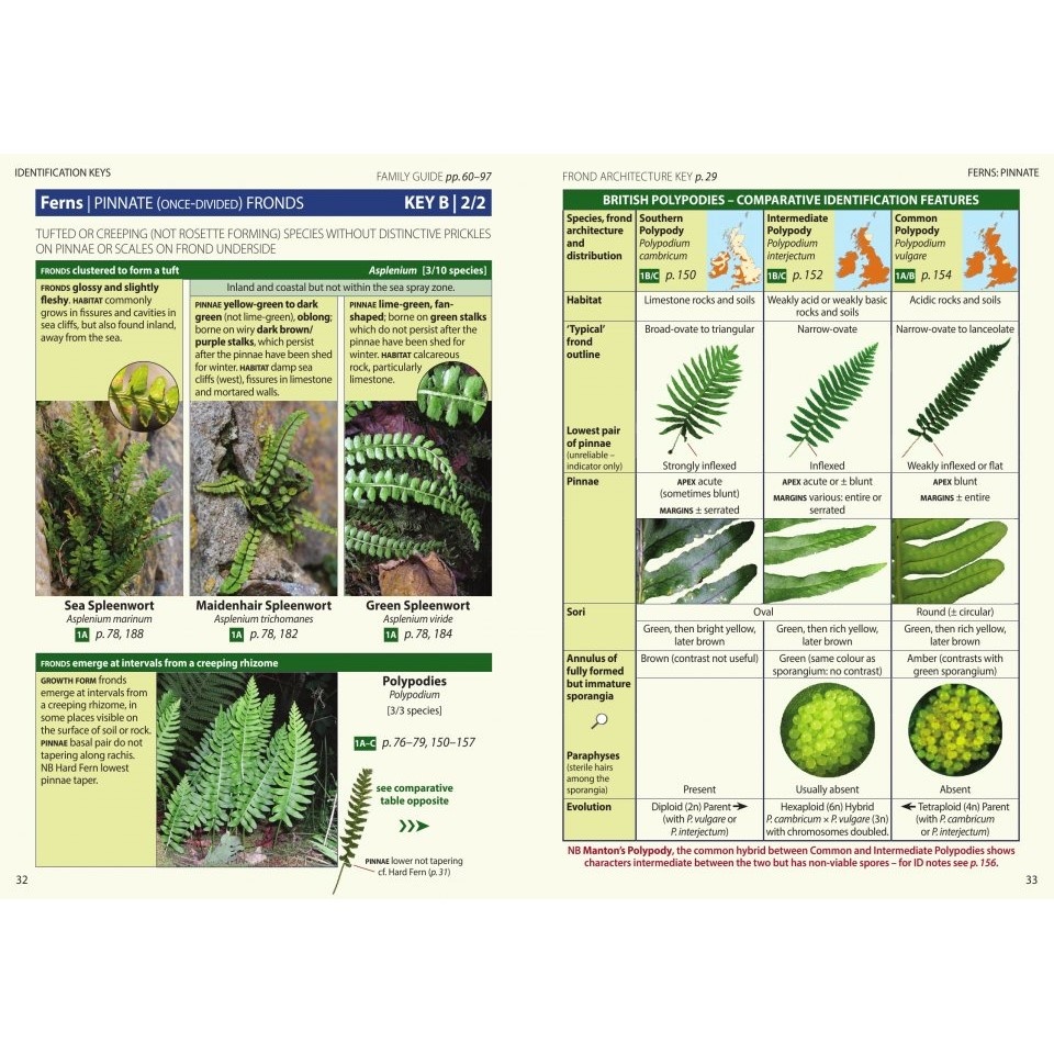 Britain's Ferns - A Field Guide to the Clubmosses, Quillworts, Horsetails and Ferns of Great Britain and Ireland
