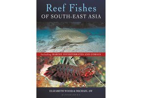 Reef Fishes of South-East Asia