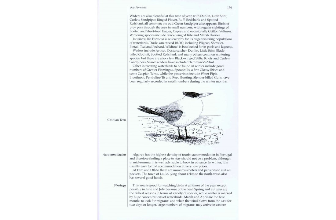 Where to Watch Birds in Portugal, the Azores & Madeira Archipelagos