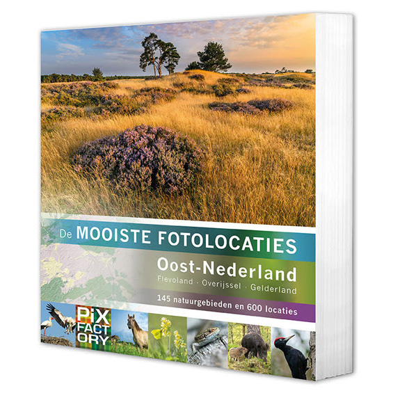 De Mooiste Fotolocaties van Oost-Nederland