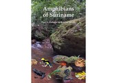 Amphibians of Suriname