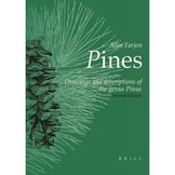 Pines - Drawings and Descriptions of the Genus Pinus