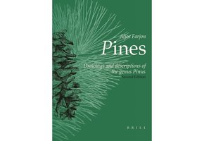 Pines