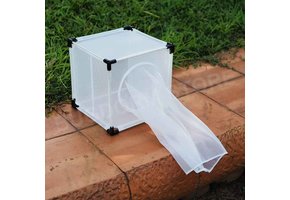 Bugdorm 4M2222 Zuchtkäfig