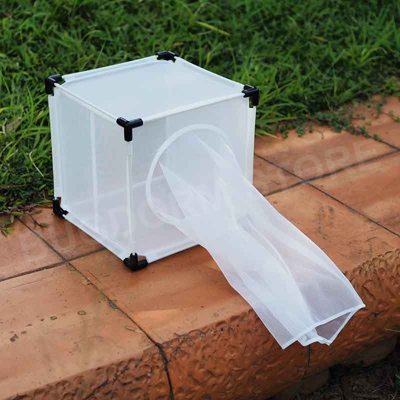 Bugdorm 4M2222 Insect Rearing Cage