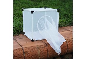 Bugdorm 4M3030 Zuchtkäfig