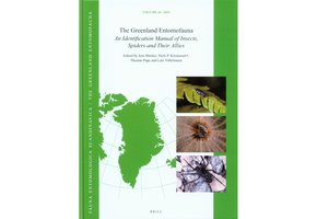 The Greenland Entomofauna