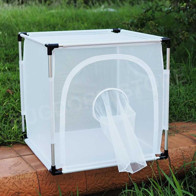 Bugdorm 6M610 Insect Rearing Cage