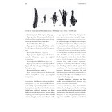 Microlepidoptera of Europe, Volume 8 - Psychidae