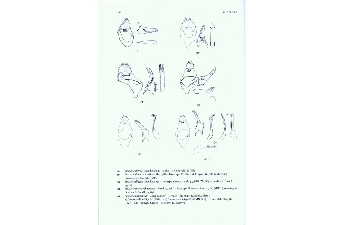 Microlepidoptera of Europe, Volume 7 - Tineidae I (Dryadaulinae, Hapsiferinae, Euplocaminae, Scardiinae, Nemapogoninae and Meessiinae)