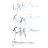 Microlepidoptera of Europe, Volume 6 - Gelechiidae II (Gelechiinae: Gnorimoschemini)