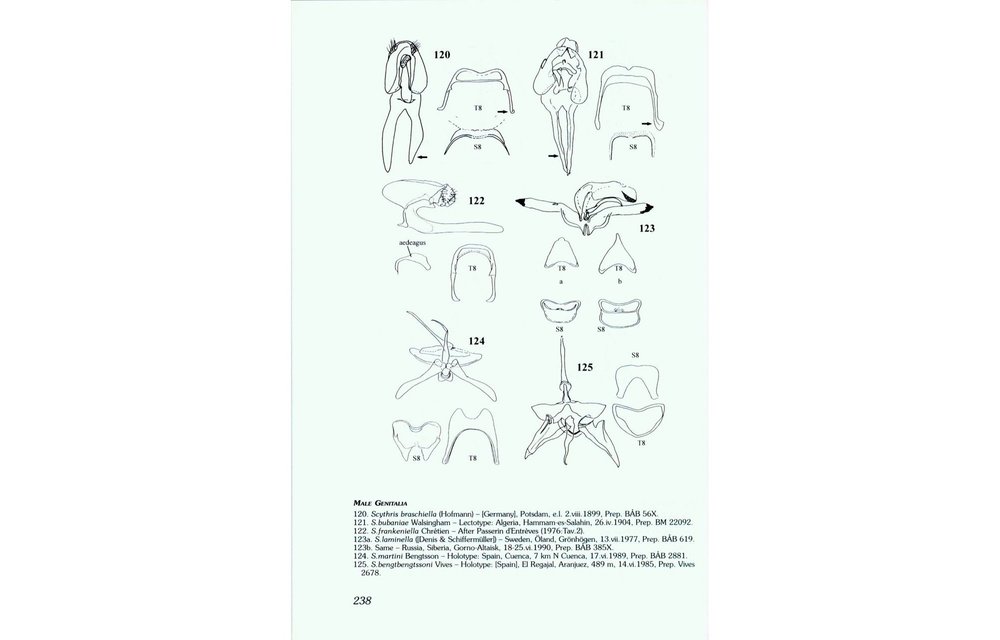 Microlepidoptera of Europe, Volume 2 - Scythrididae