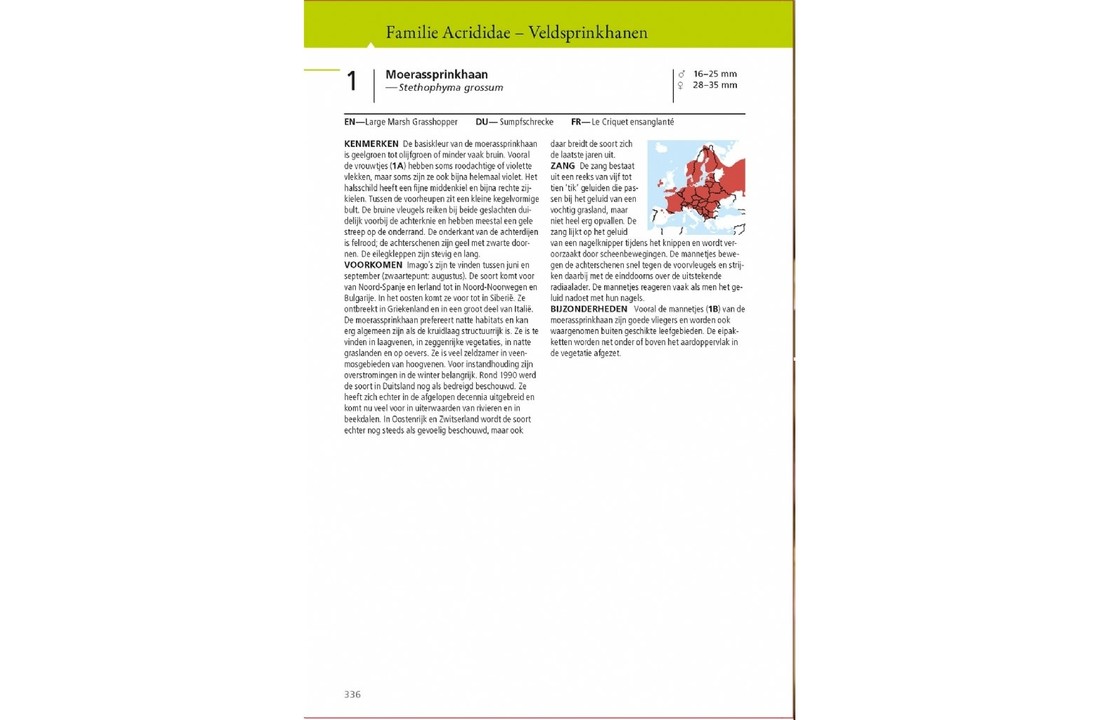 Veldgids Sprinkhanen en Krekels van Europa