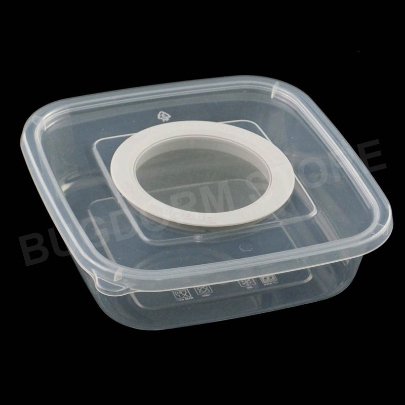 BD5002 Insectenkweekbox