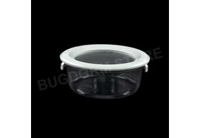 Bugdorm BDPN08 Insektentopf in Pint-Größe mit Schnappdeckel