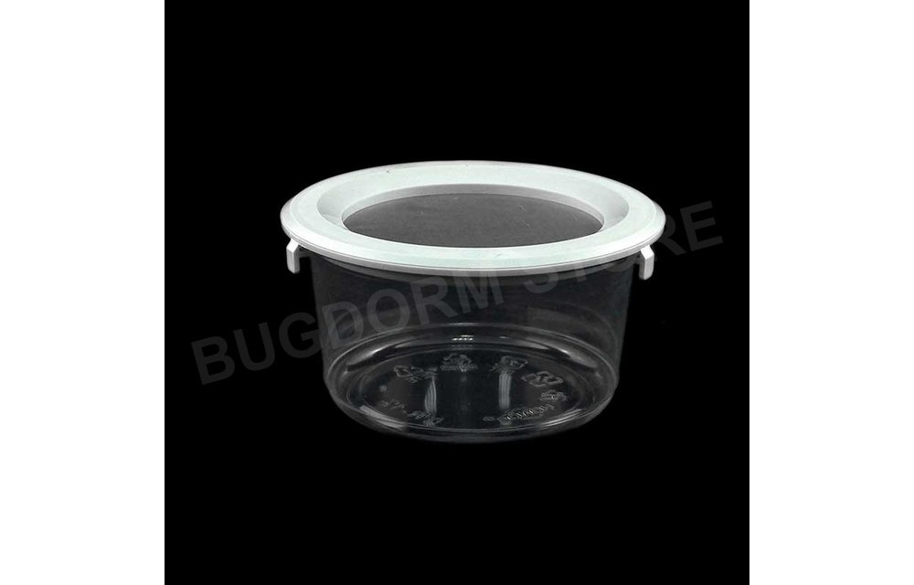 BDPN12 Pint-sized Insect Pot with Snap Lid
