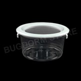 Bugdorm BDPN12 Insektentopf in Pint-Größe mit Schnappdeckel