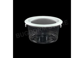 Bugdorm BDPN12 Insektentopf in Pint-Größe mit Schnappdeckel