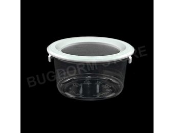 Bugdorm BDPN12 Insektentopf in Pint-Größe mit Schnappdeckel