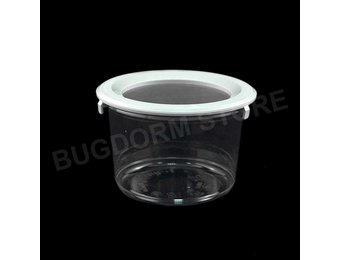 Bugdorm BDPN16 Insektentopf in Pint-Größe mit Schnappdeckel
