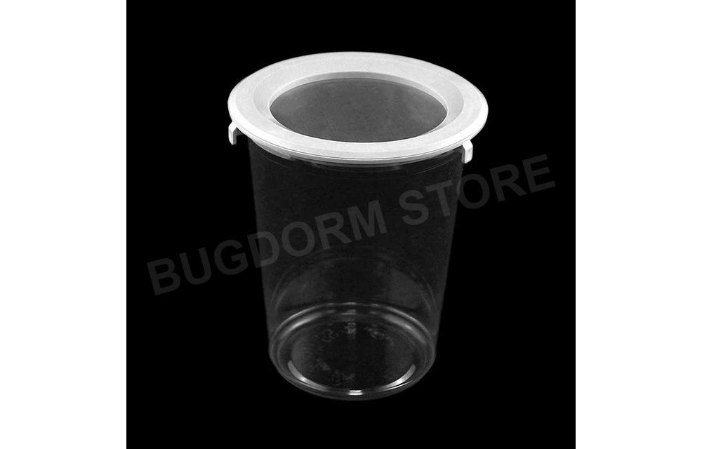 BDPN32 Pint-sized Insect Pot with Snap Lid